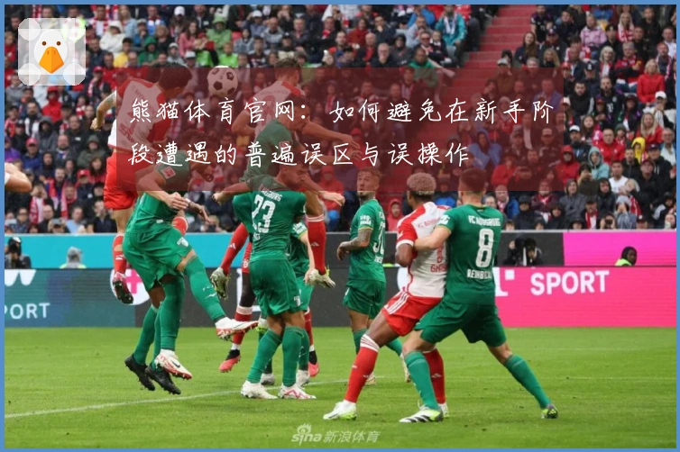 熊猫体育官网：如何避免在新手阶段遭遇的普遍误区与误操作